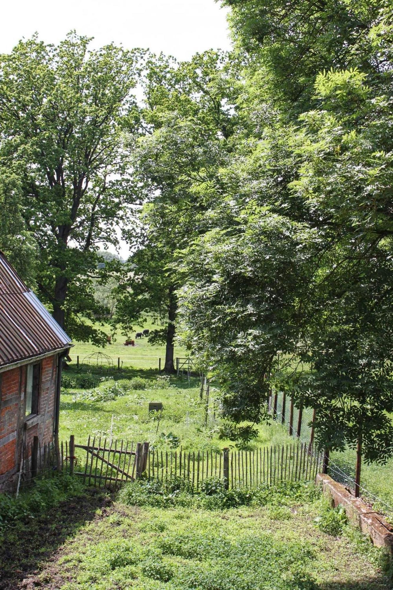 Ferienwohnung Auf Der Ruebenburg Barnsen Екстер'єр фото